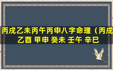 丙戌乙未丙午丙申八字命理（丙戌 乙酉 甲申 癸未 壬午 辛巳）